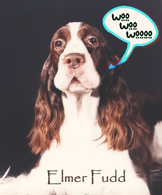 Elmer Fudd