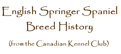 English Springer Spaniel Breed History