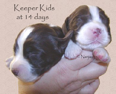 Keeper Kids