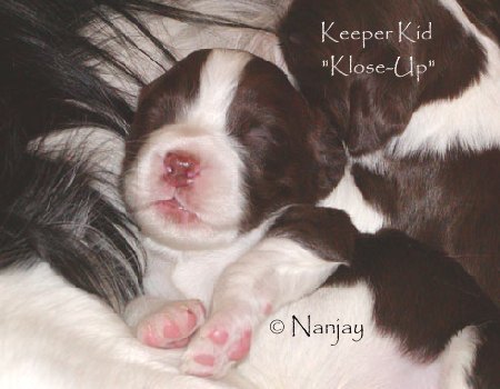 Keeper Kid Klose-Up