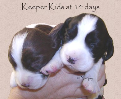 Keeper Kids