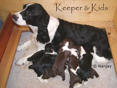 Keeper and Kids