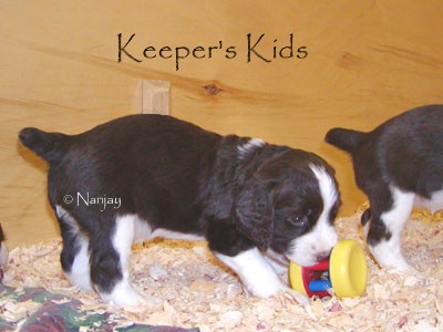 Keeper's Kids