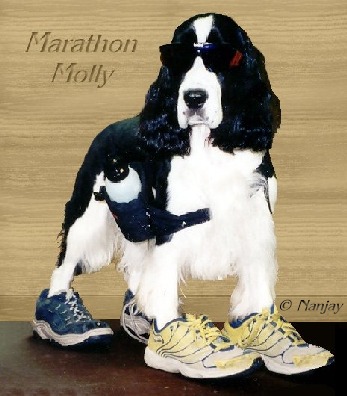 Marathon Molly