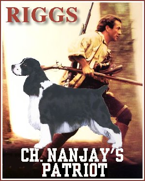 Ch. Nanjay's Patriot