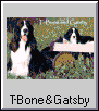 T-Bone and Gatsby