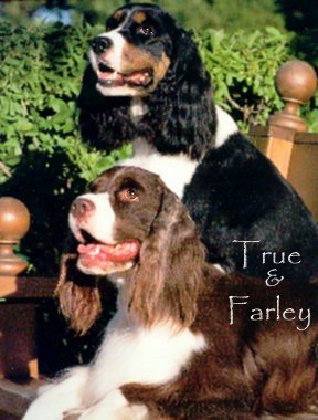 True and Farley